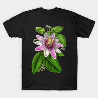 Passion Flower - Passion Vine botanical illustration T-Shirt